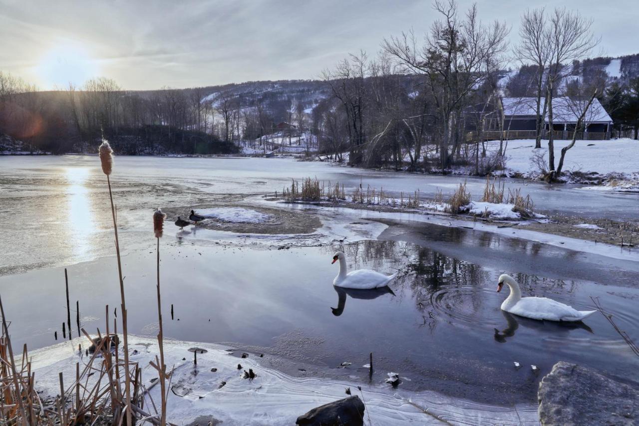 Northridge 199 Villa Tannersville Dış mekan fotoğraf